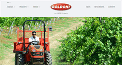 Desktop Screenshot of goldoni.it